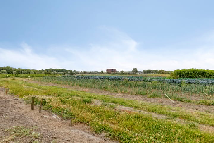 Foto 48 van Abeelseweg 7