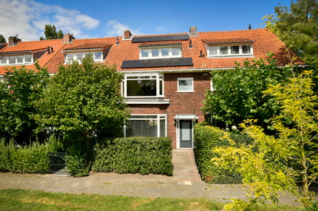 undefined main image