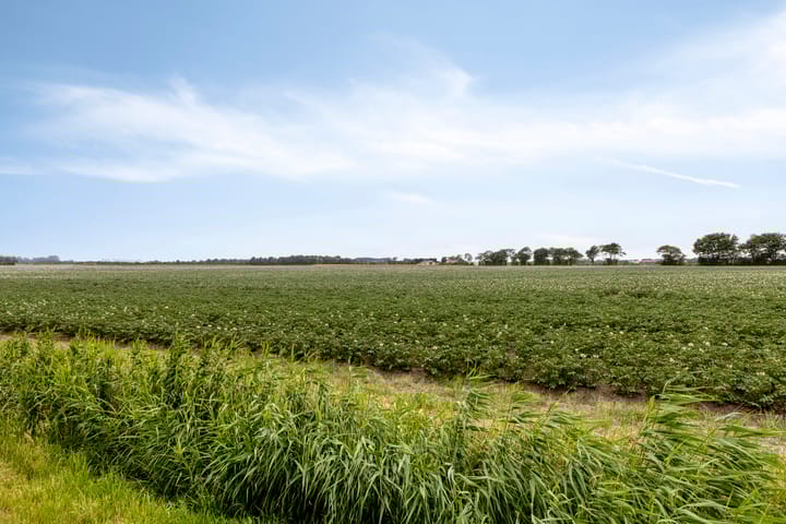 Foto 52 van Abeelseweg 7