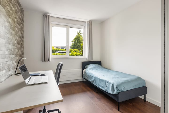 Foto 22 van Coelhorst 62