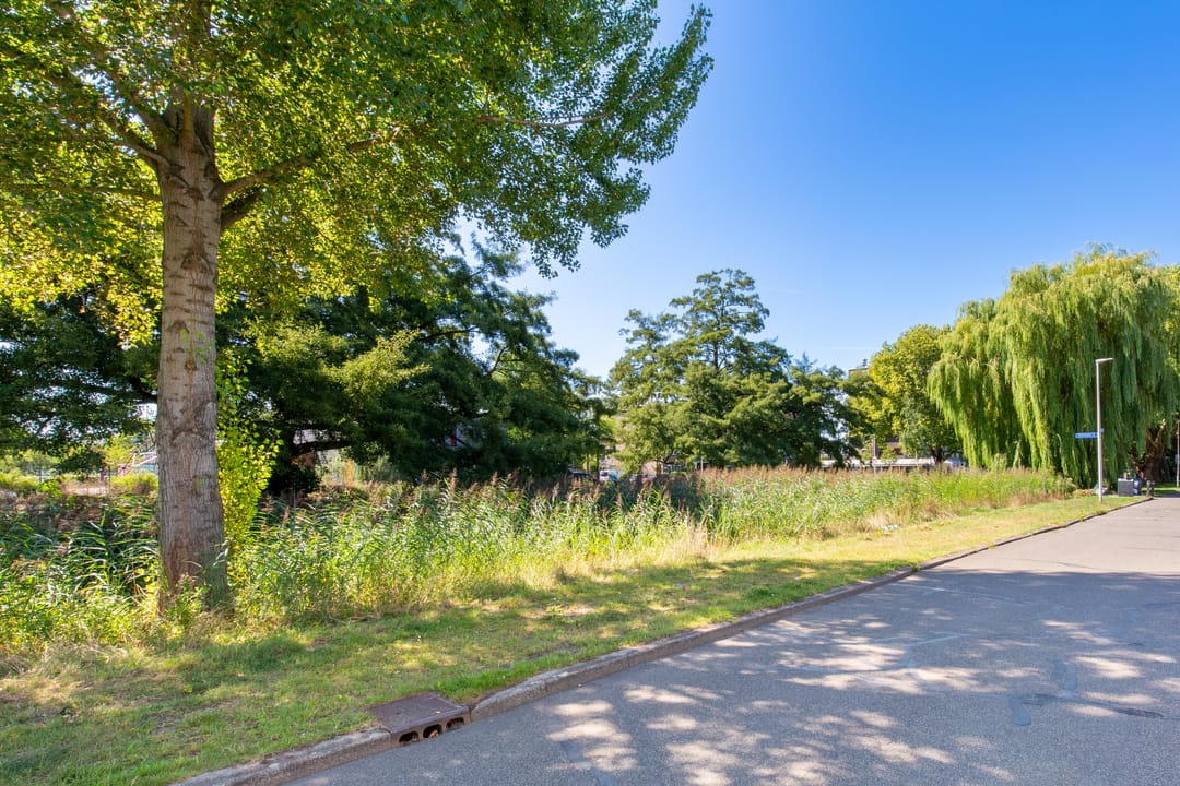 Foto 32 van Pizarrolaan 15