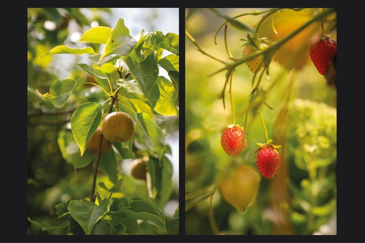 Foto 48 van Viaductstraat 68