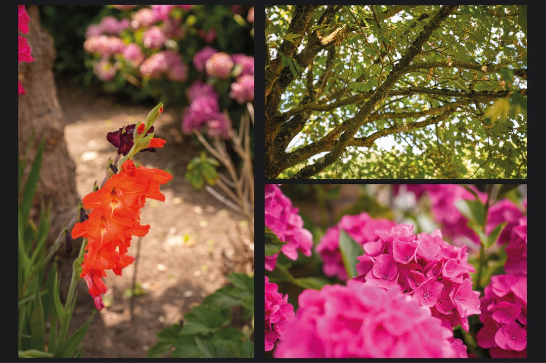 Foto 53 van Viaductstraat 68