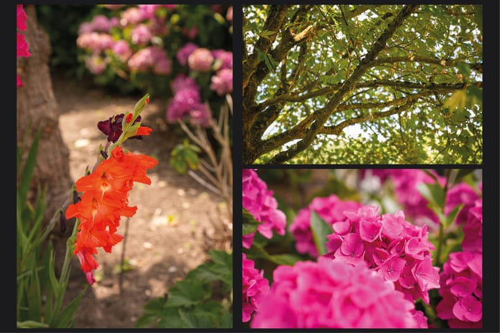 Foto 53 van Viaductstraat 68