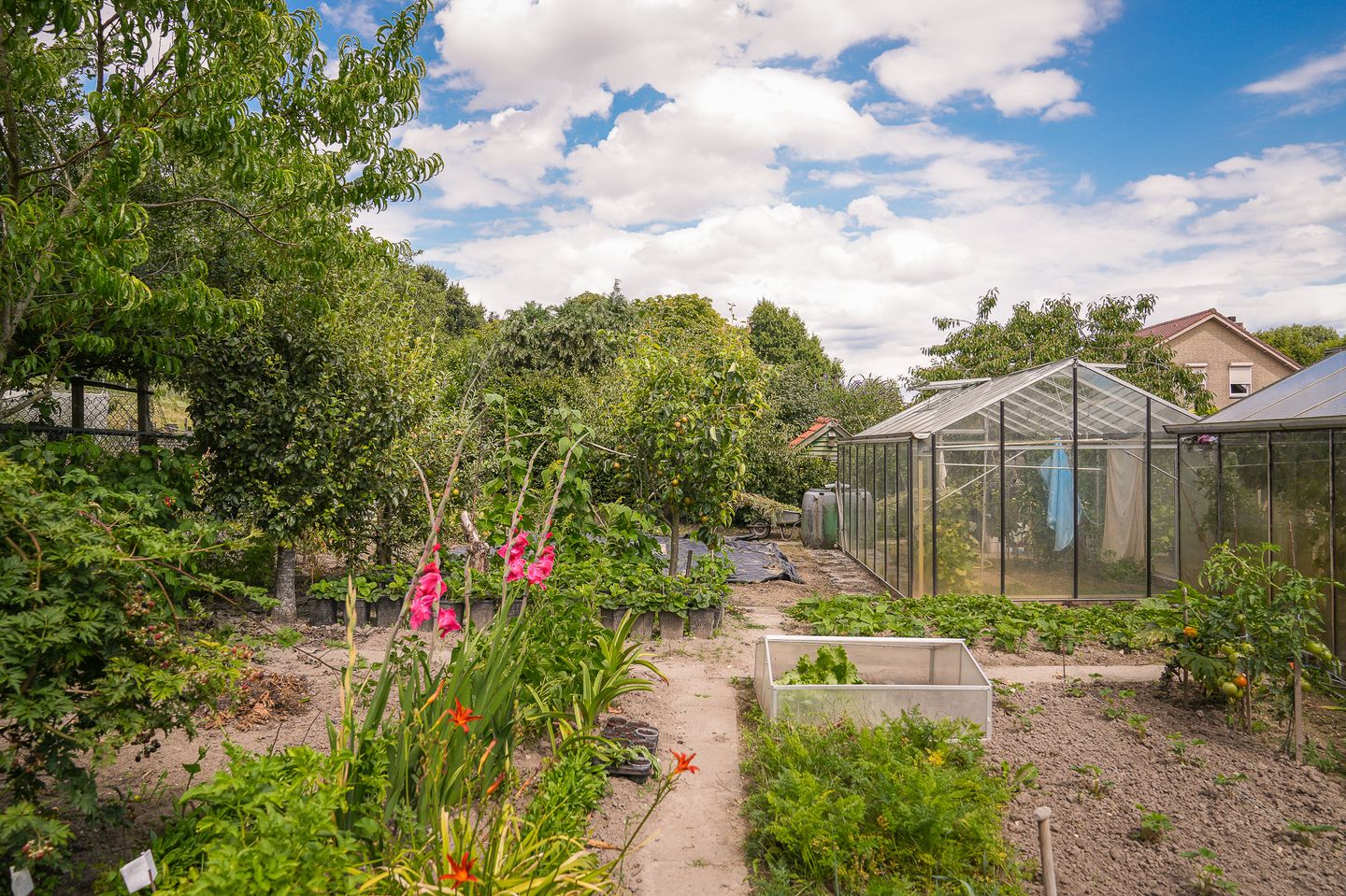 Foto 55 van Viaductstraat 68