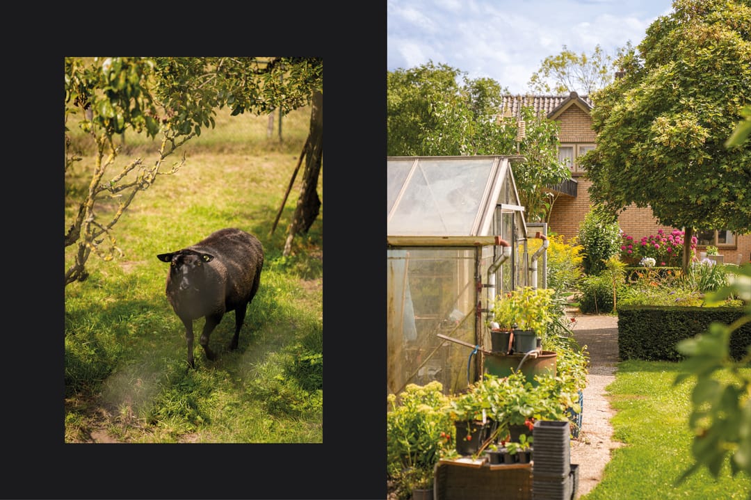 Foto 56 van Viaductstraat 68