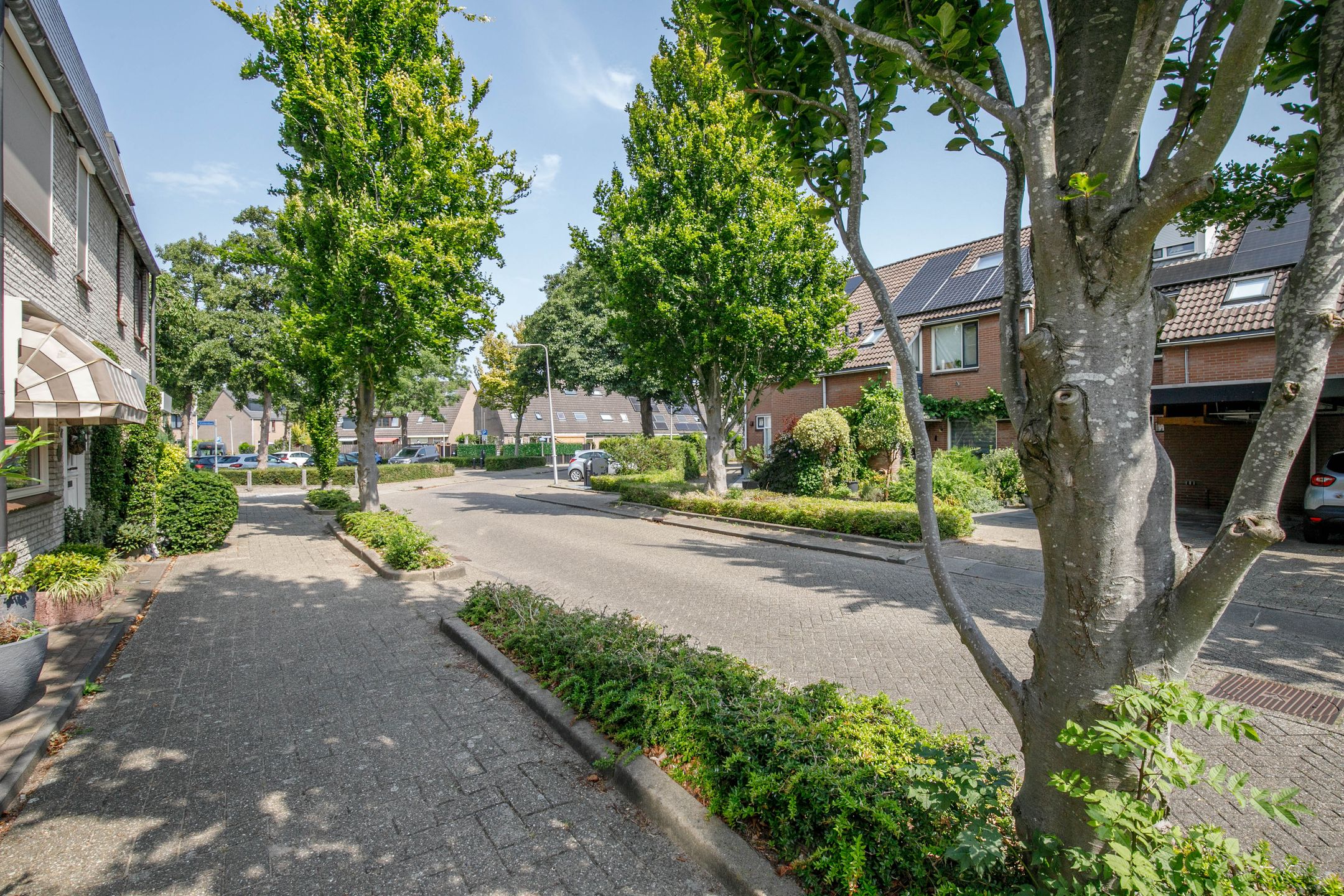 Foto 36 van Zwanendaal 13