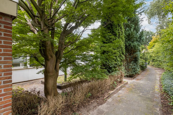 Foto 11 van Leemkoelen 29