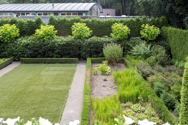 Photo 39 of Bergweg van Rijn 2