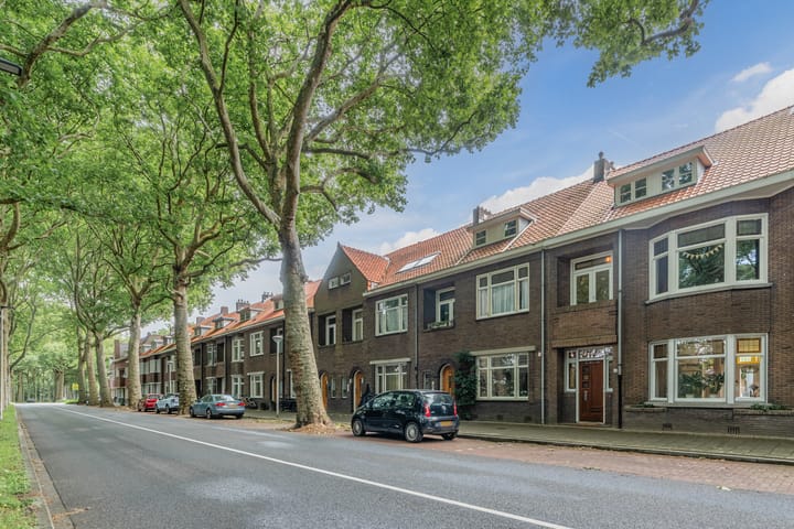 Foto 6 van Zuidzijde Zoom 24