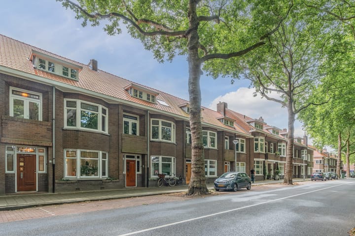 Foto 5 van Zuidzijde Zoom 24