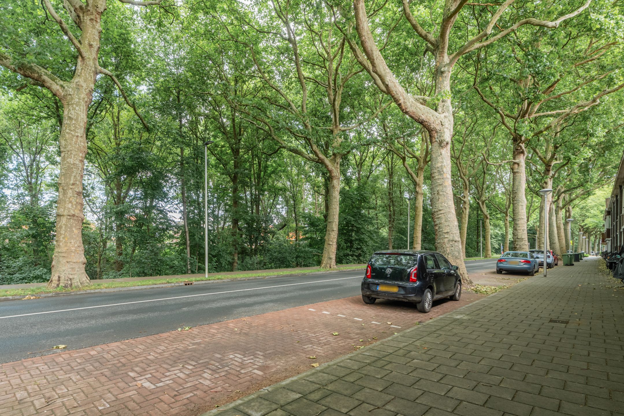 Foto 48 van Zuidzijde Zoom 24