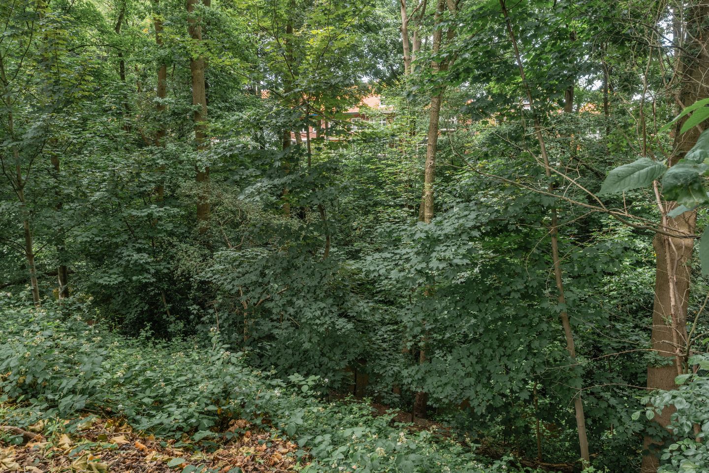 Foto 49 van Zuidzijde Zoom 24