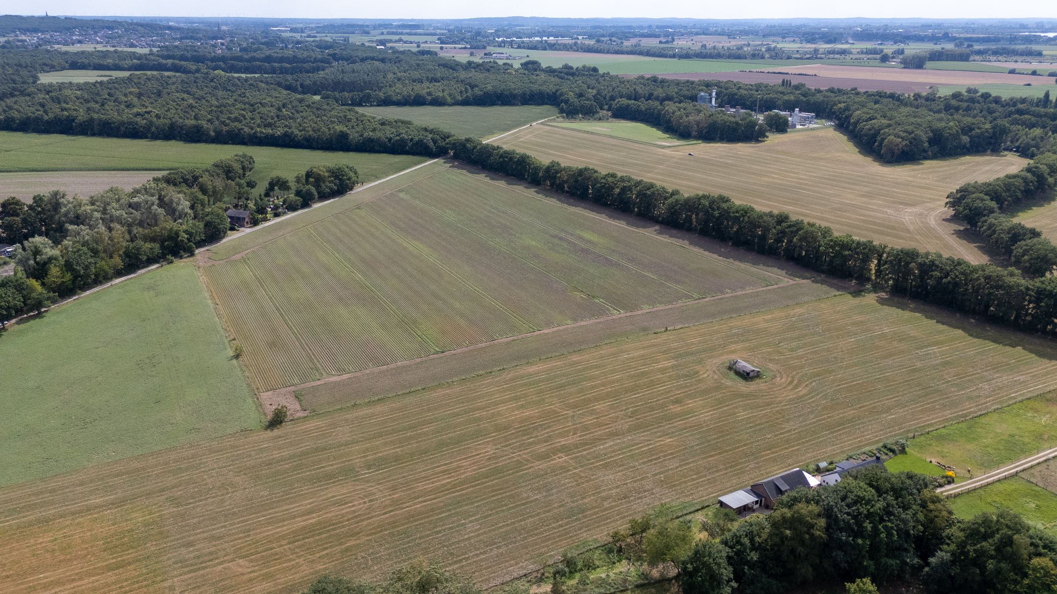 Photo 9 of Kwartiersedijk 36