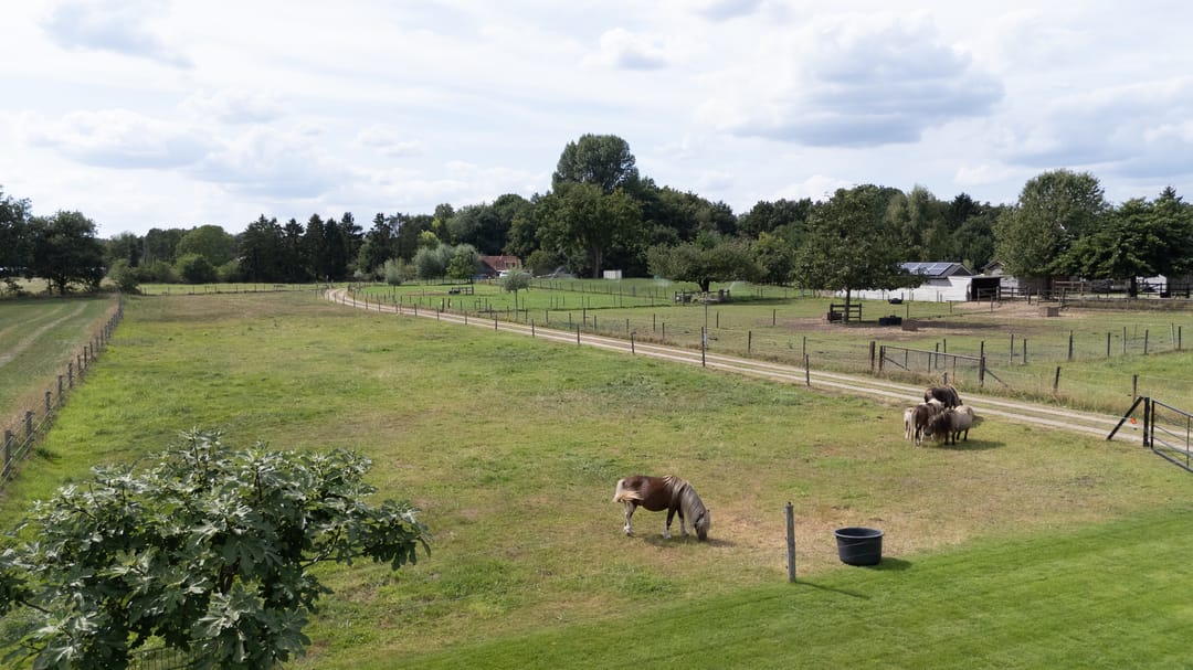 Photo 58 of Kwartiersedijk 36