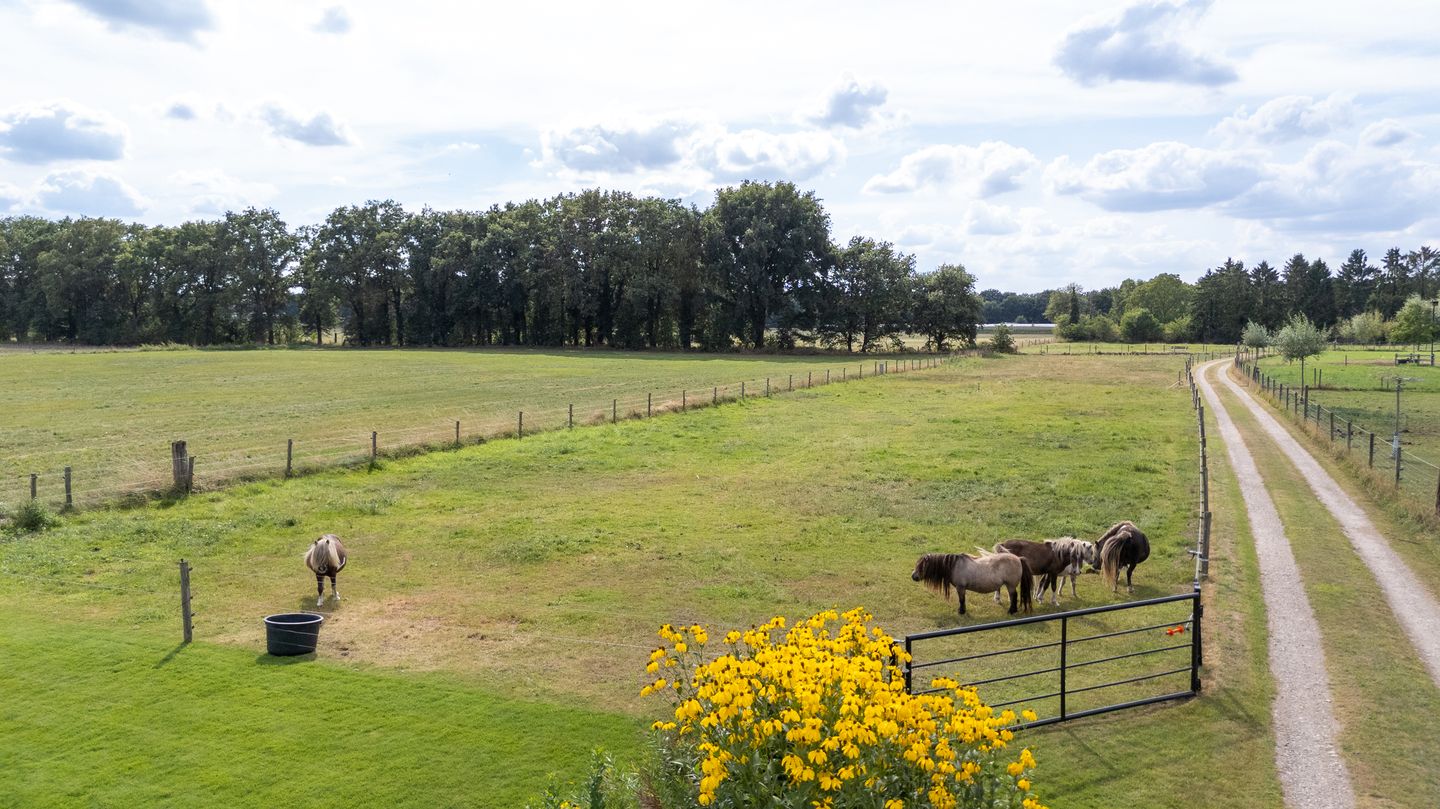 Photo 59 of Kwartiersedijk 36