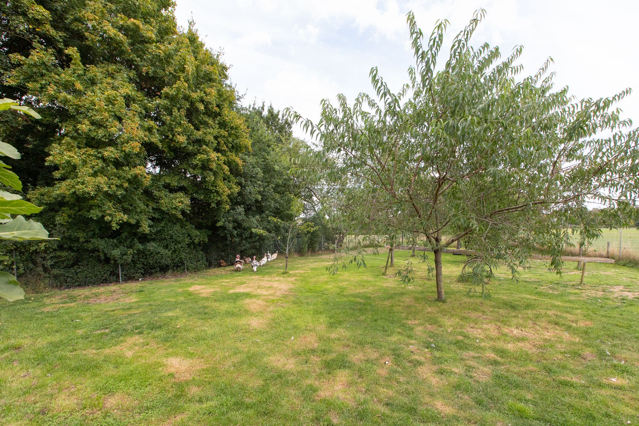 Photo 72 of Kwartiersedijk 36