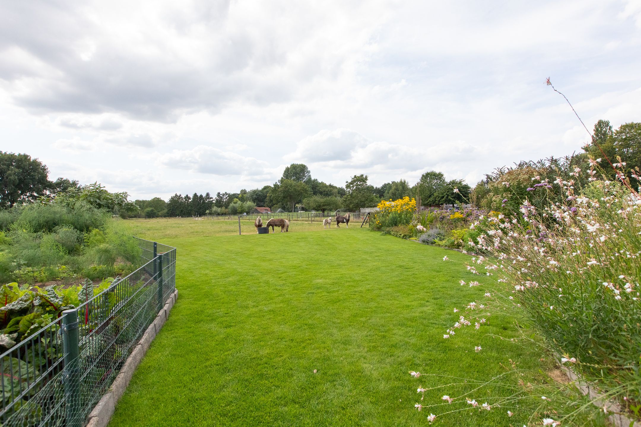 Photo 78 of Kwartiersedijk 36