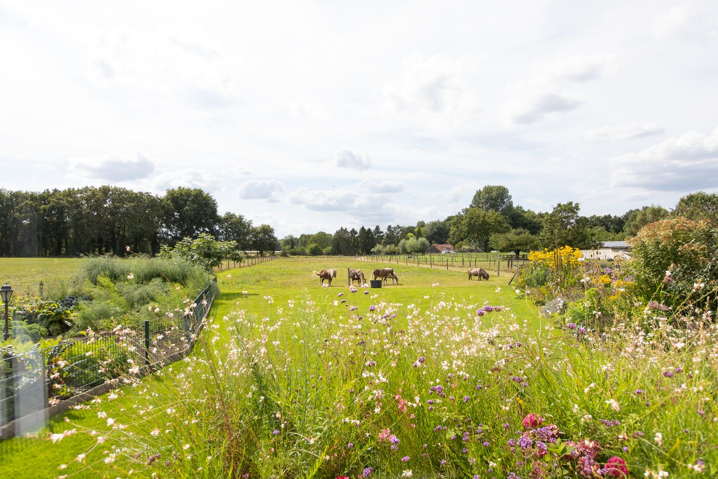 Photo 79 of Kwartiersedijk 36