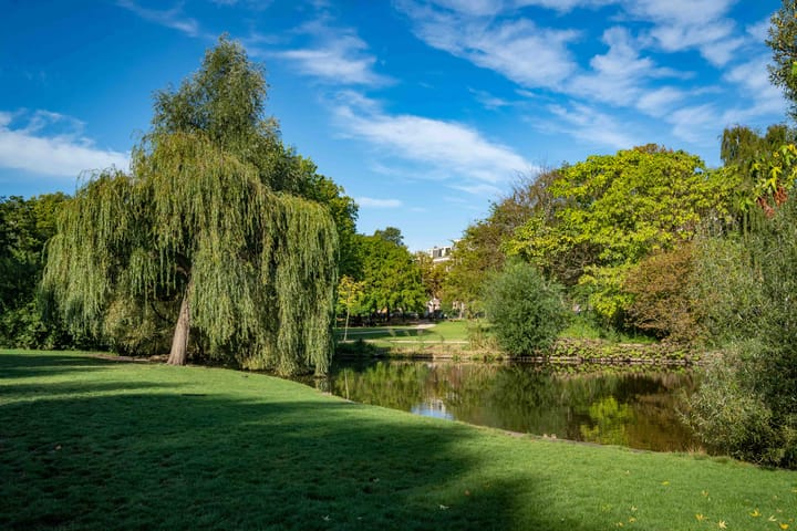 Foto 20 van Sint Willibrordusstraat 73-4