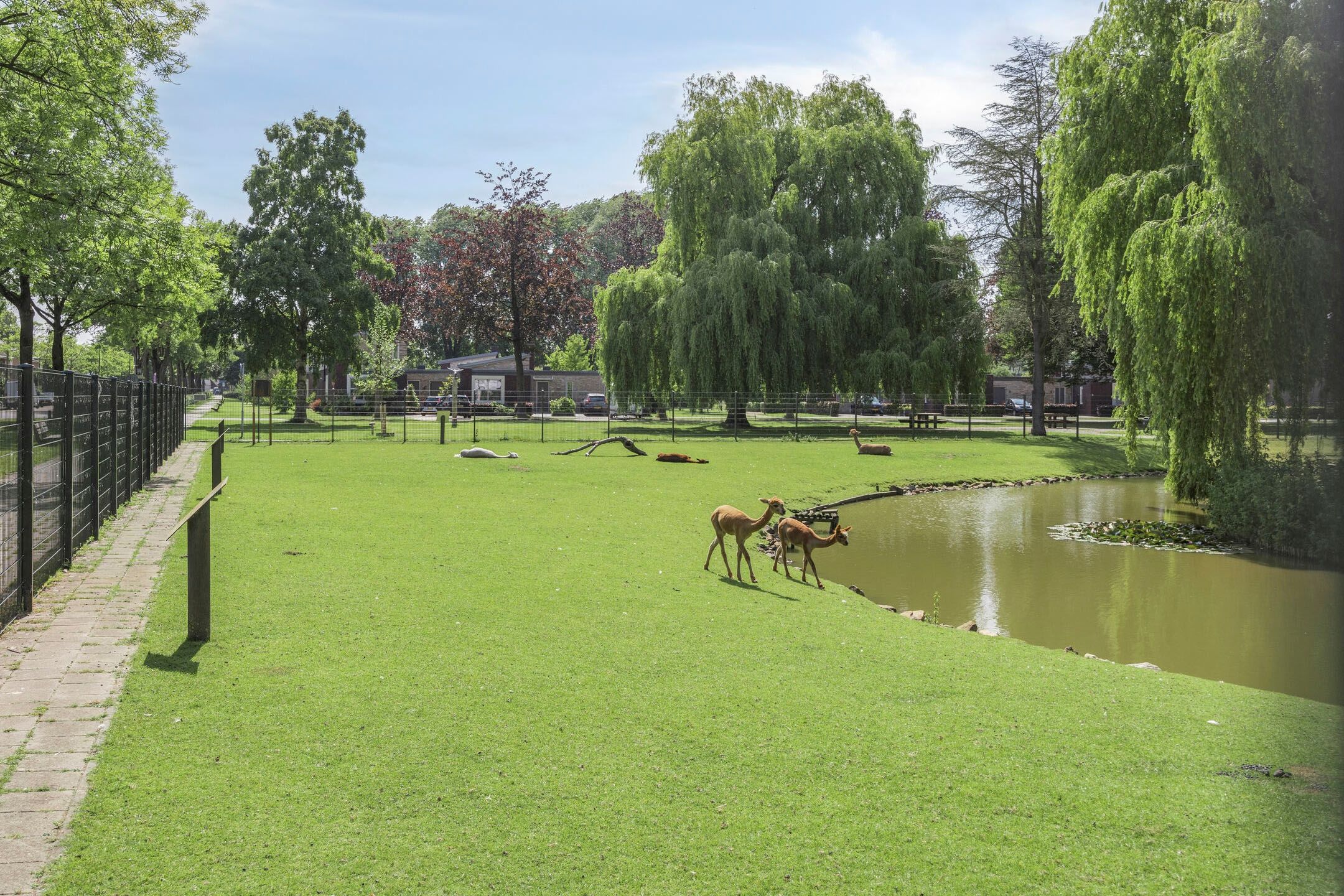 Photo 42 of Kerkendijk 108