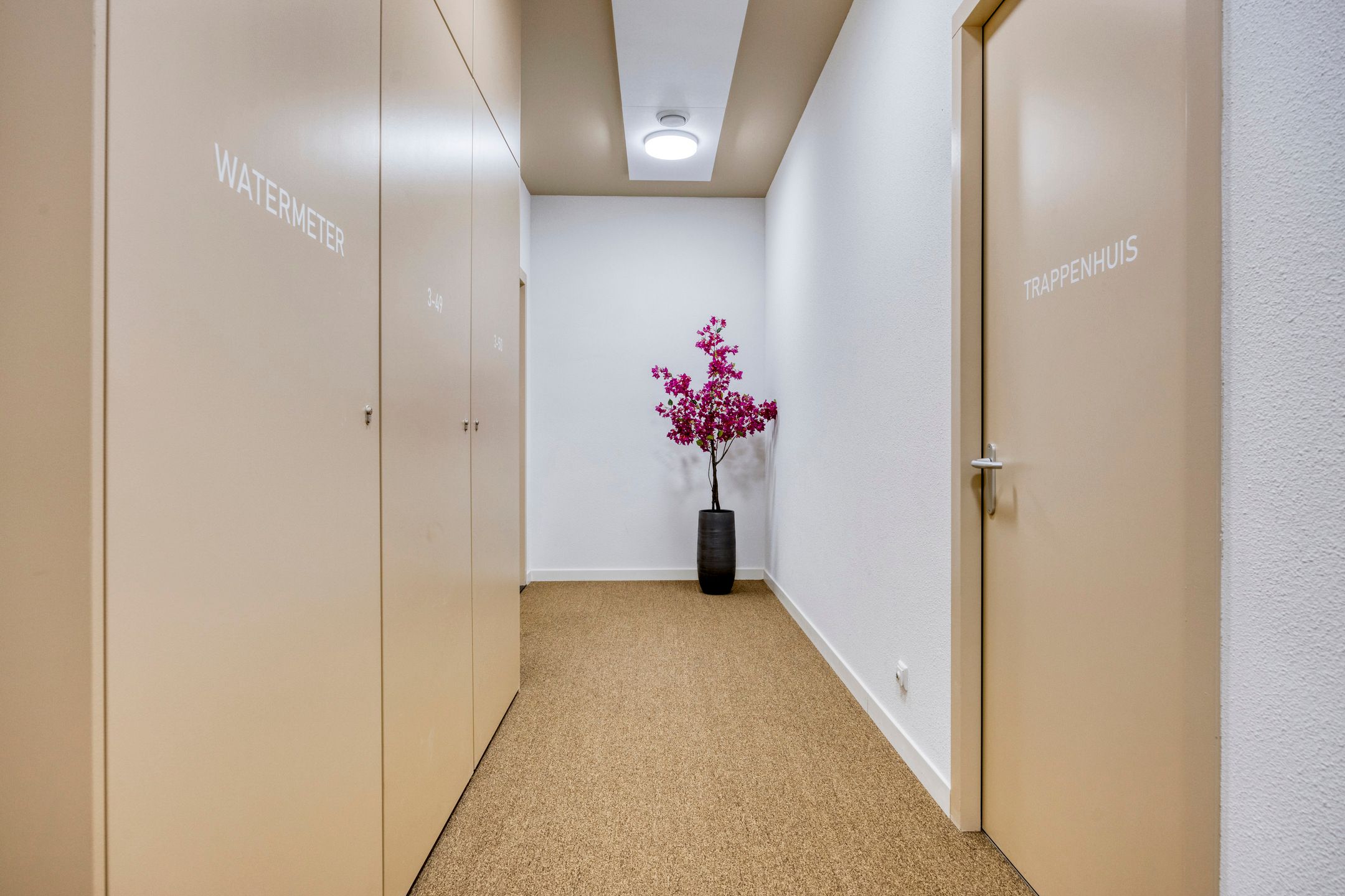 Foto 12 van Magazijnstraat 3-50