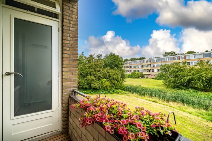 Foto 21 van Paganinidreef 16