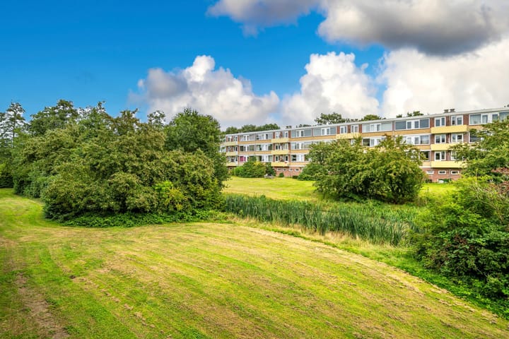 Foto 22 van Paganinidreef 16