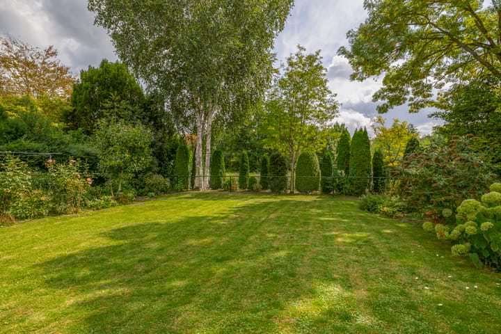 Photo 3 of Groenezoom 5