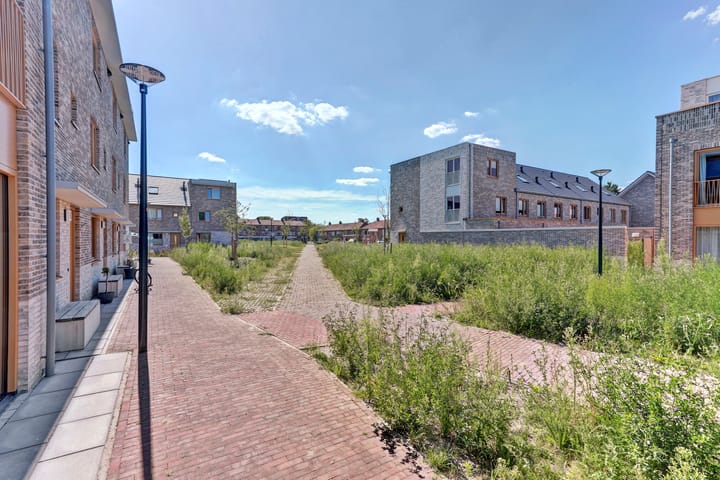 Foto 7 van Zodiacpad 8