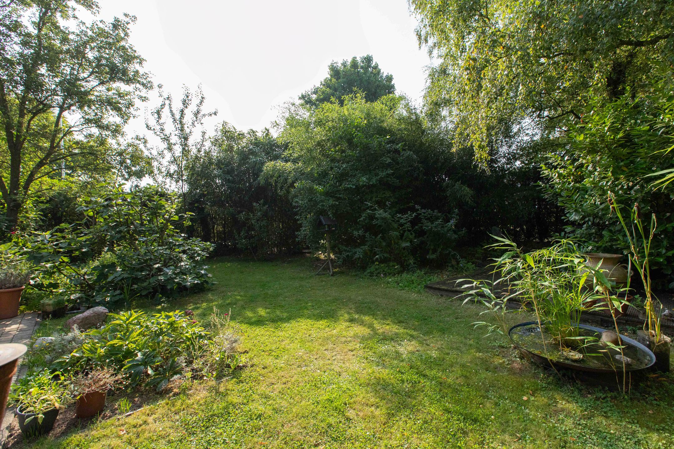 Foto 51 van Pastoor Mölderstraat 4