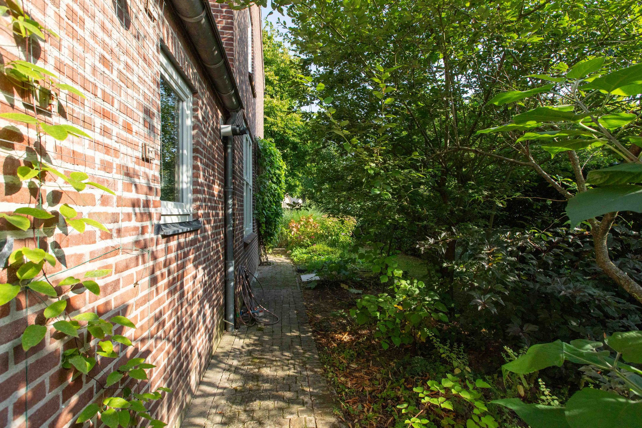 Foto 57 van Pastoor Mölderstraat 4