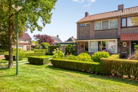 undefined main image