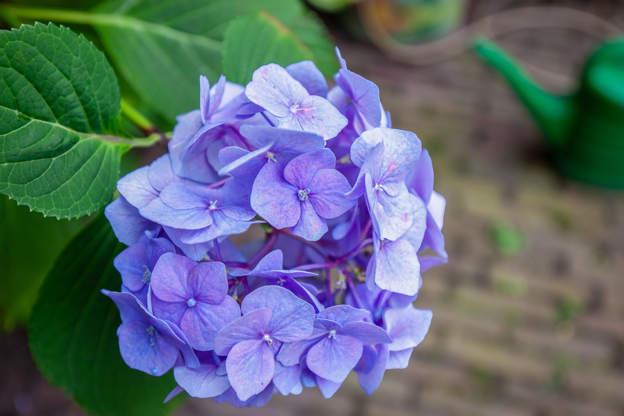 Foto 45 van Hengeveldstraat 38