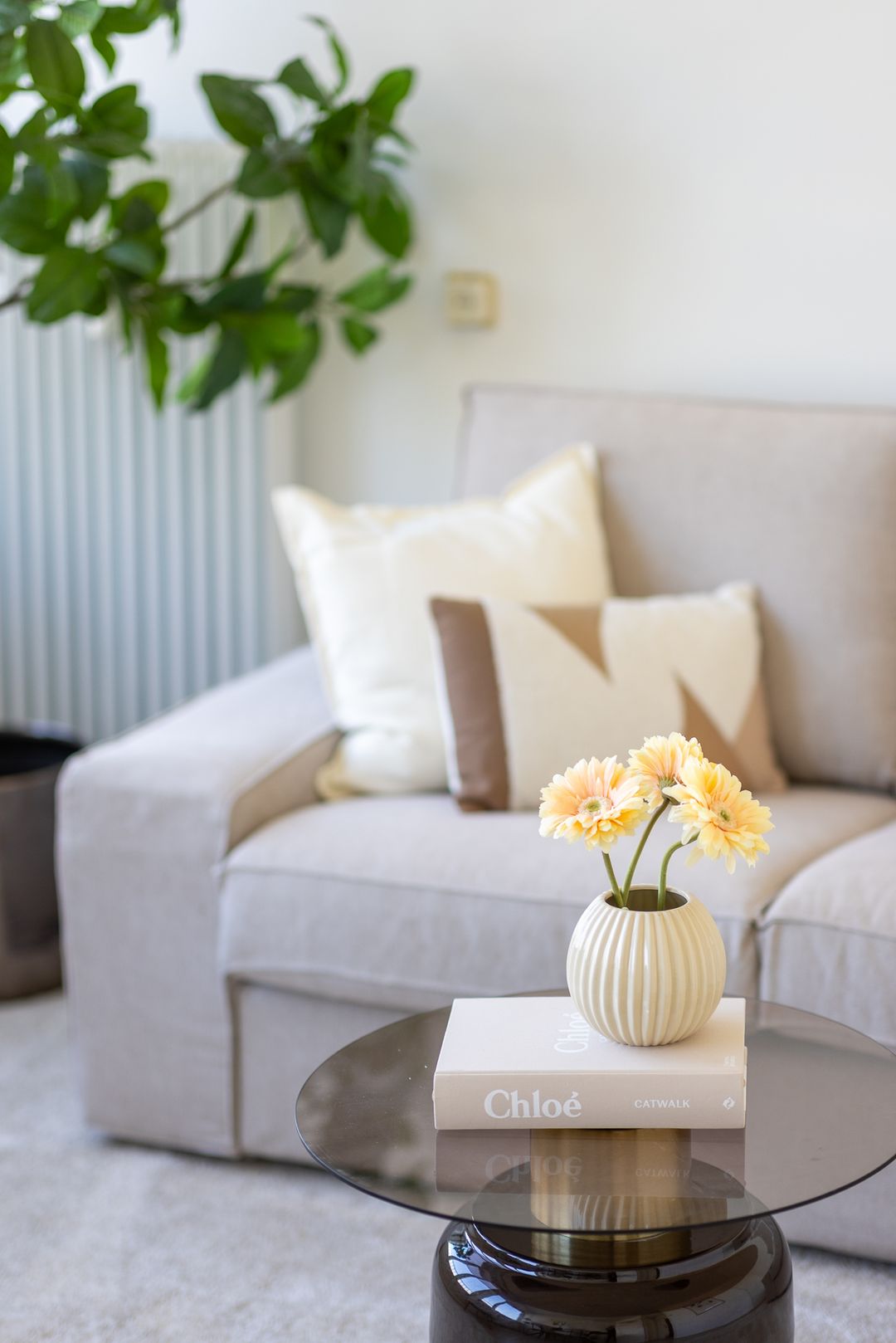 Foto 7 van Meent 38-D