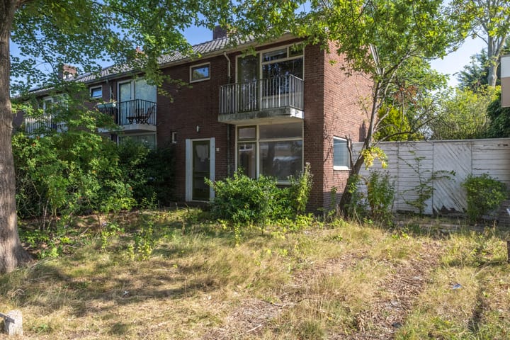 Foto 2 van Swammerdamstraat 1-A