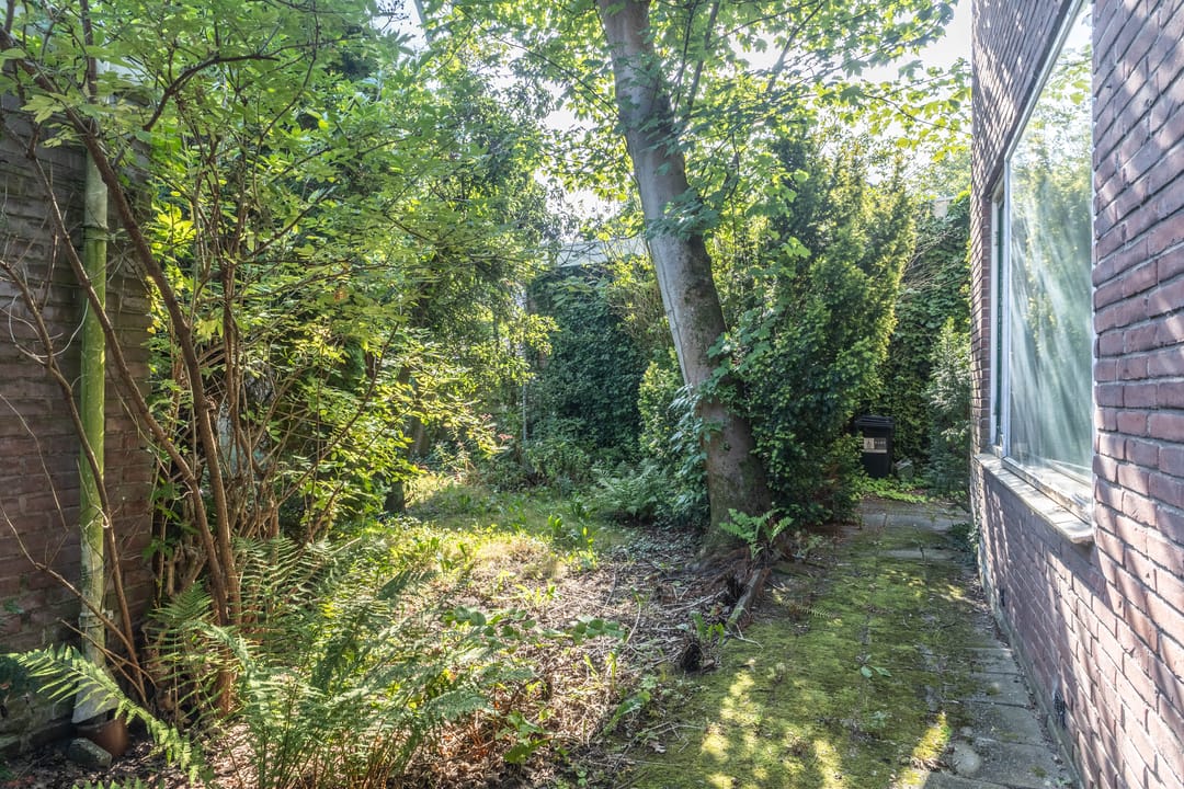 Photo 11 of Swammerdamstraat 1-A