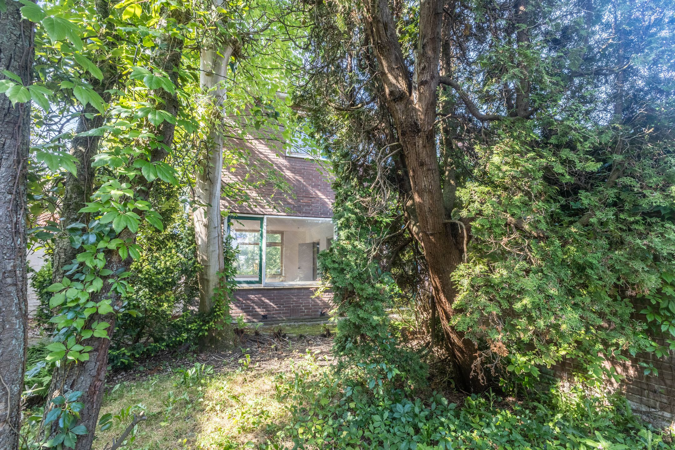 Photo 12 of Swammerdamstraat 1-A