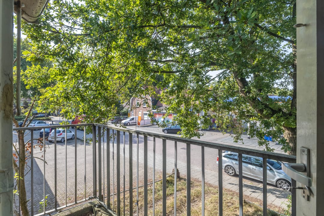 Photo 22 of Swammerdamstraat 1-A