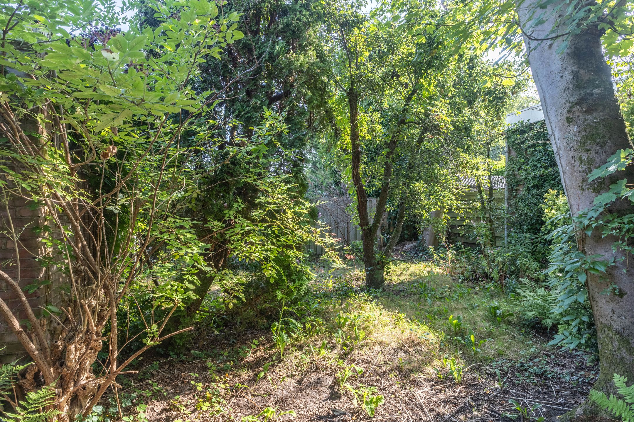 Photo 3 of Swammerdamstraat 1-A