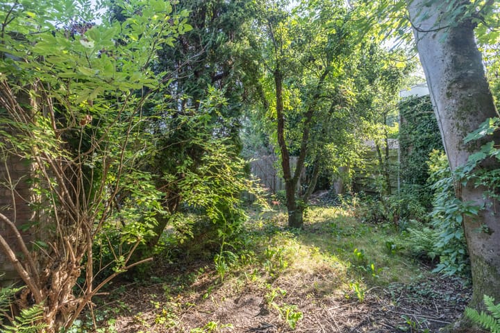 Foto 3 van Swammerdamstraat 1-A