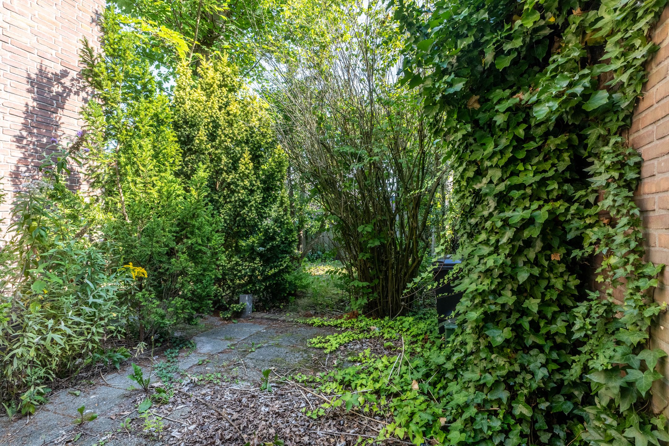 Photo 27 of Swammerdamstraat 1-A