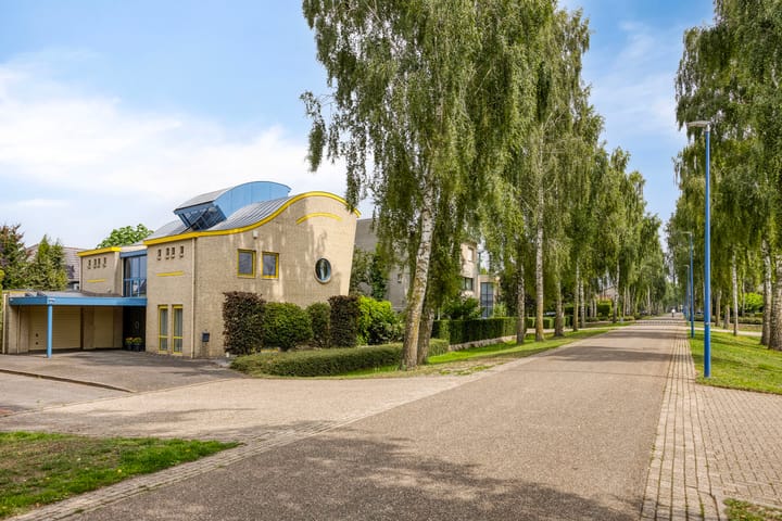 Foto 42 van Lentemorgen 47