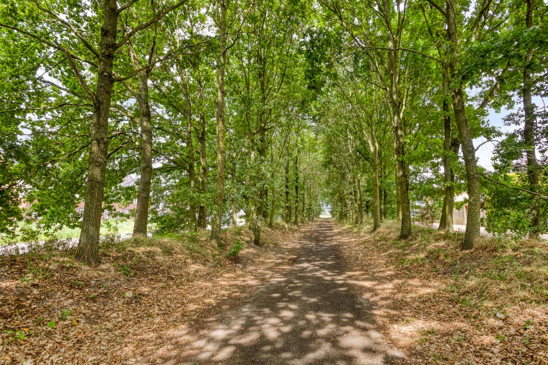 Foto 43 van Lentemorgen 47