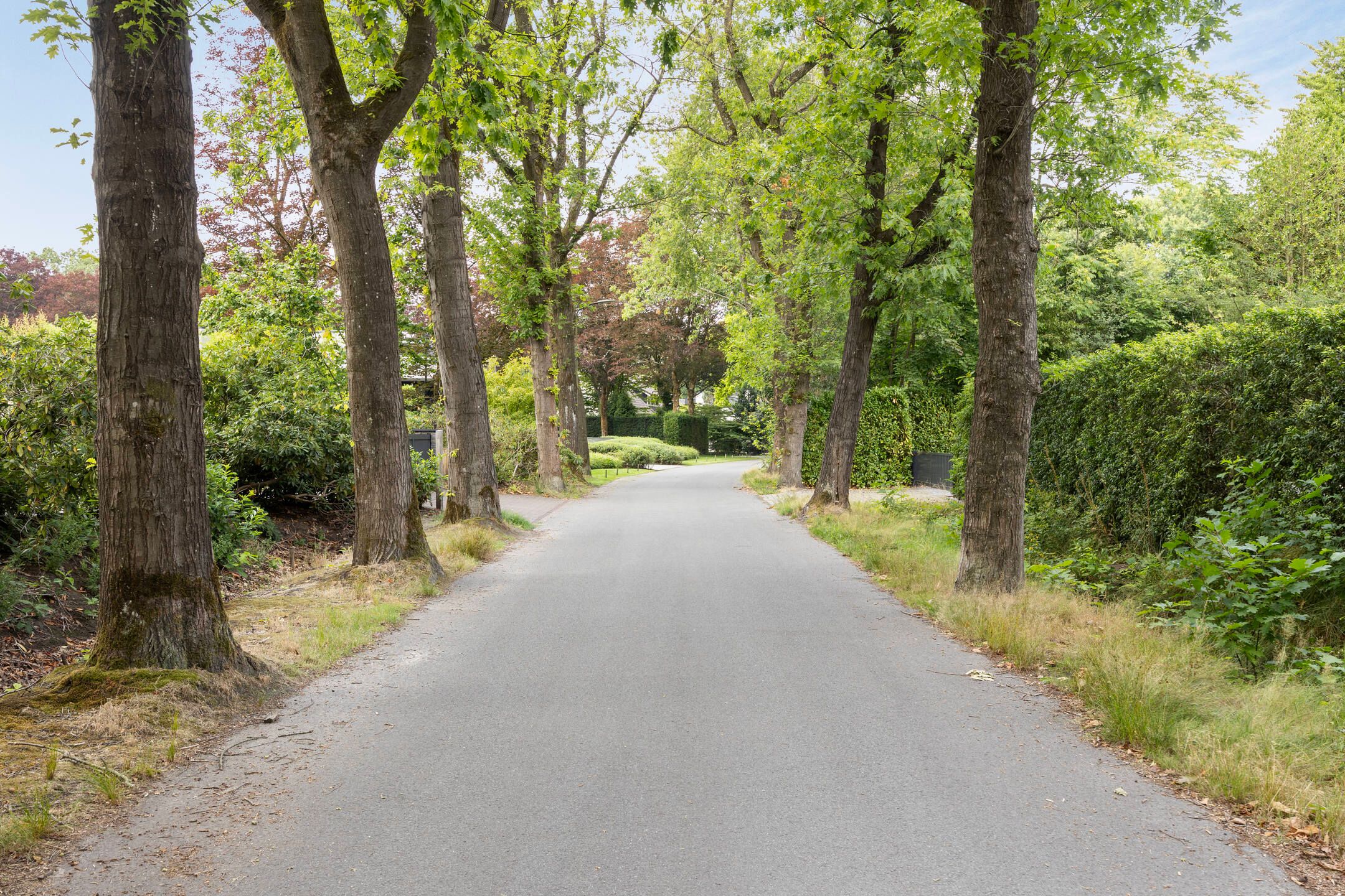 Photo 33 of Nassaulaan 11