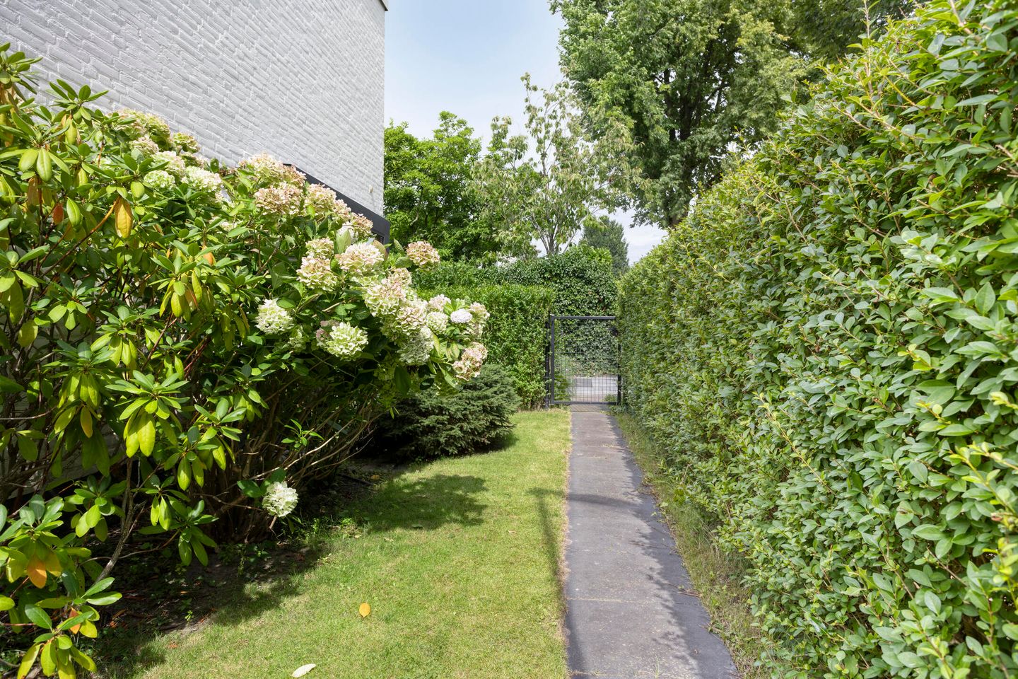 Foto 64 van Vierwindenlaan 25