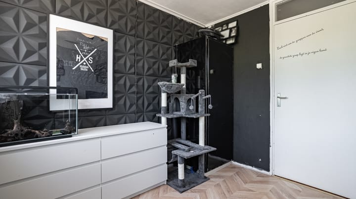 Foto 21 van Paganinistraat 43