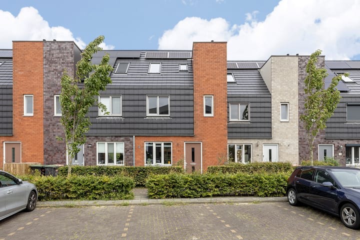 Photo 1 of Rubrum 11