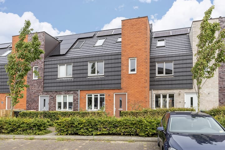 Photo 2 of Rubrum 11