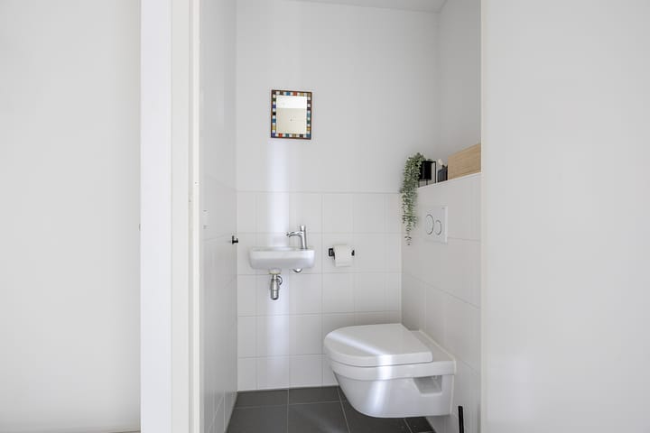 Photo 8 of Rubrum 11